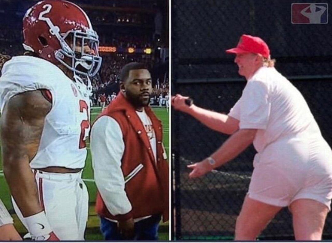 The Lies & Fall of Donald Trump tweet media