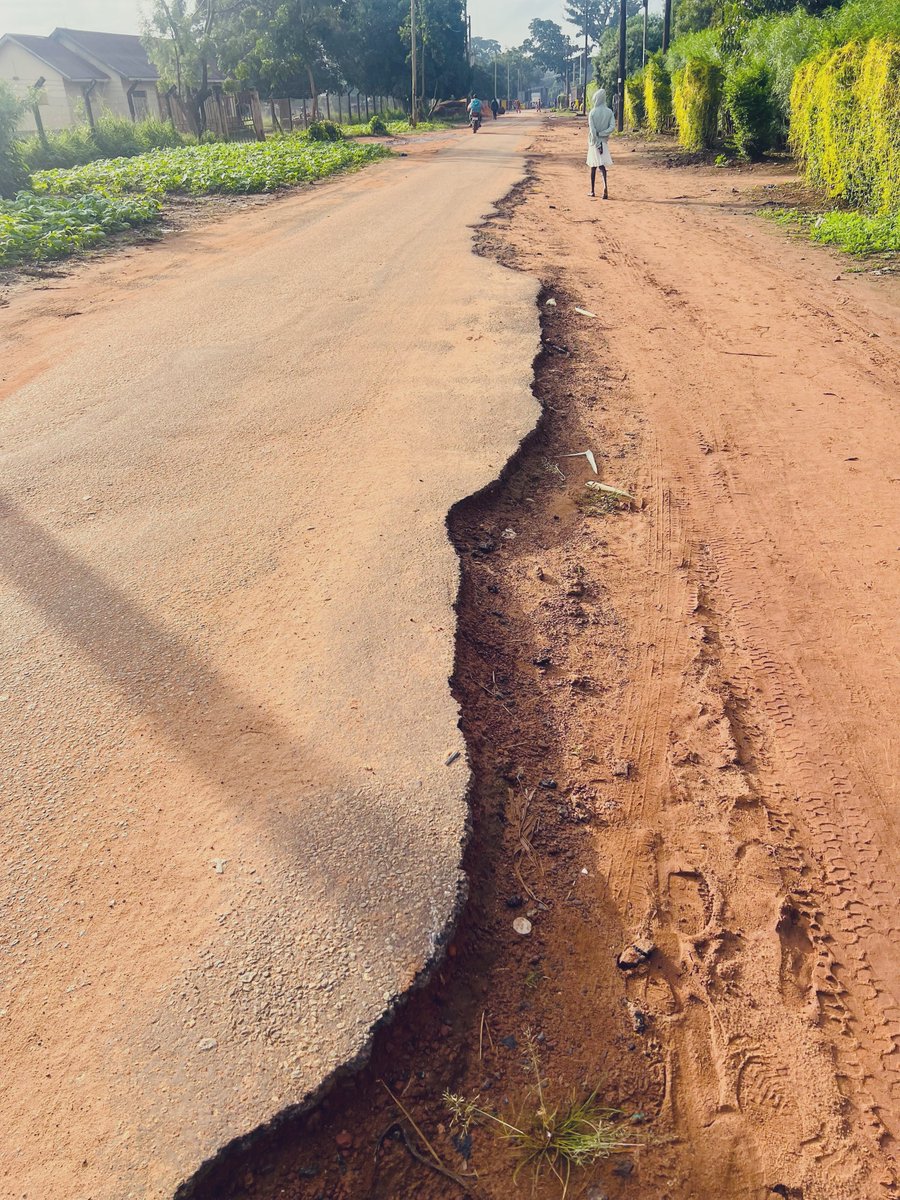 Marvin🪵Lule tweet media