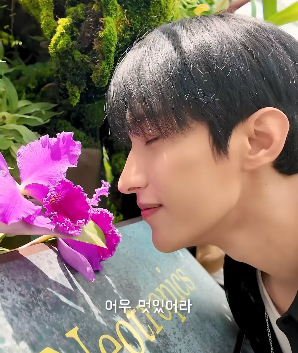 쿱정원 tweet media