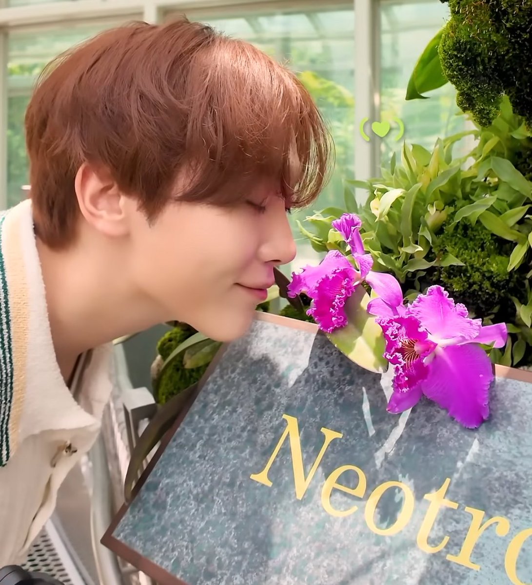 쿱정원 tweet media