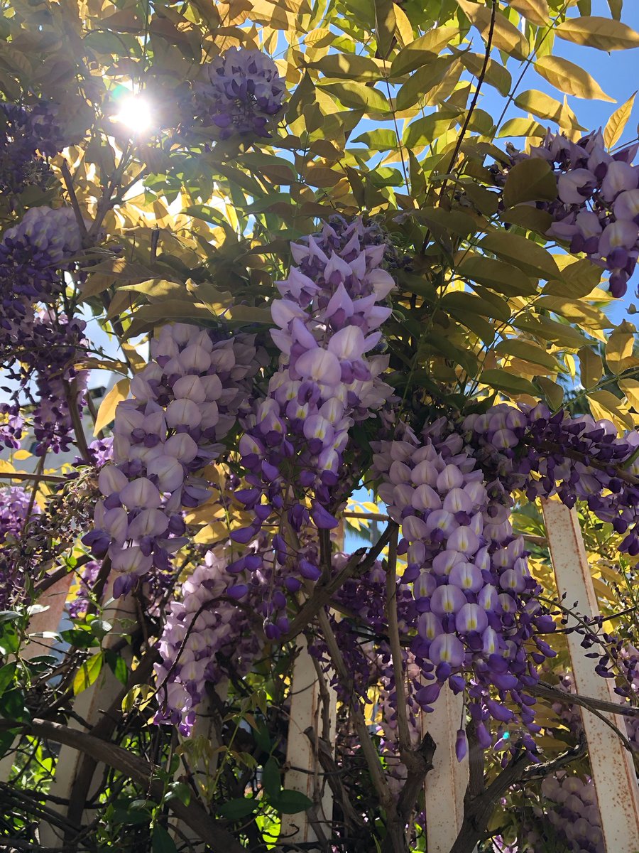 Marie Nassar tweet media