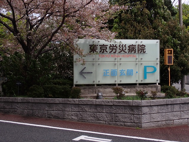はくぶん tweet media