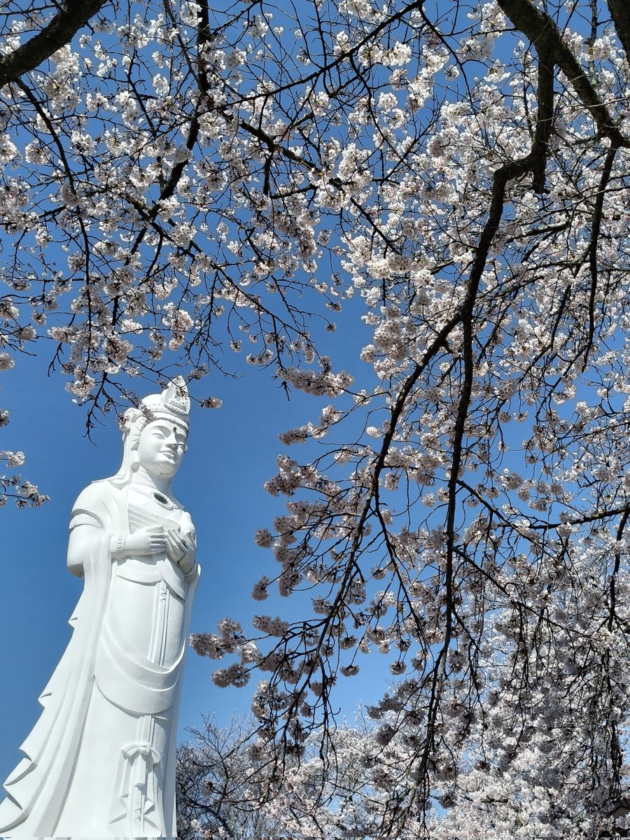 土ぼっくり＆STONES@くらふと一期舎⏩4/29〜5/6益子陶器市 tweet media