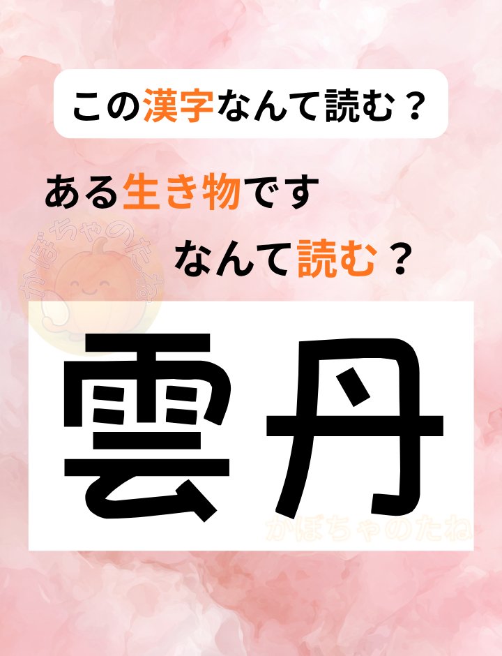 かぼちゃのたね tweet media