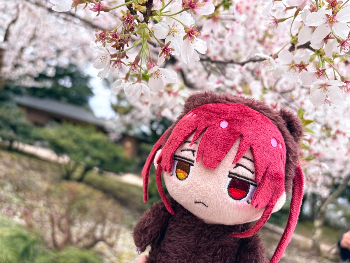 ｻﾊﾞ tweet media