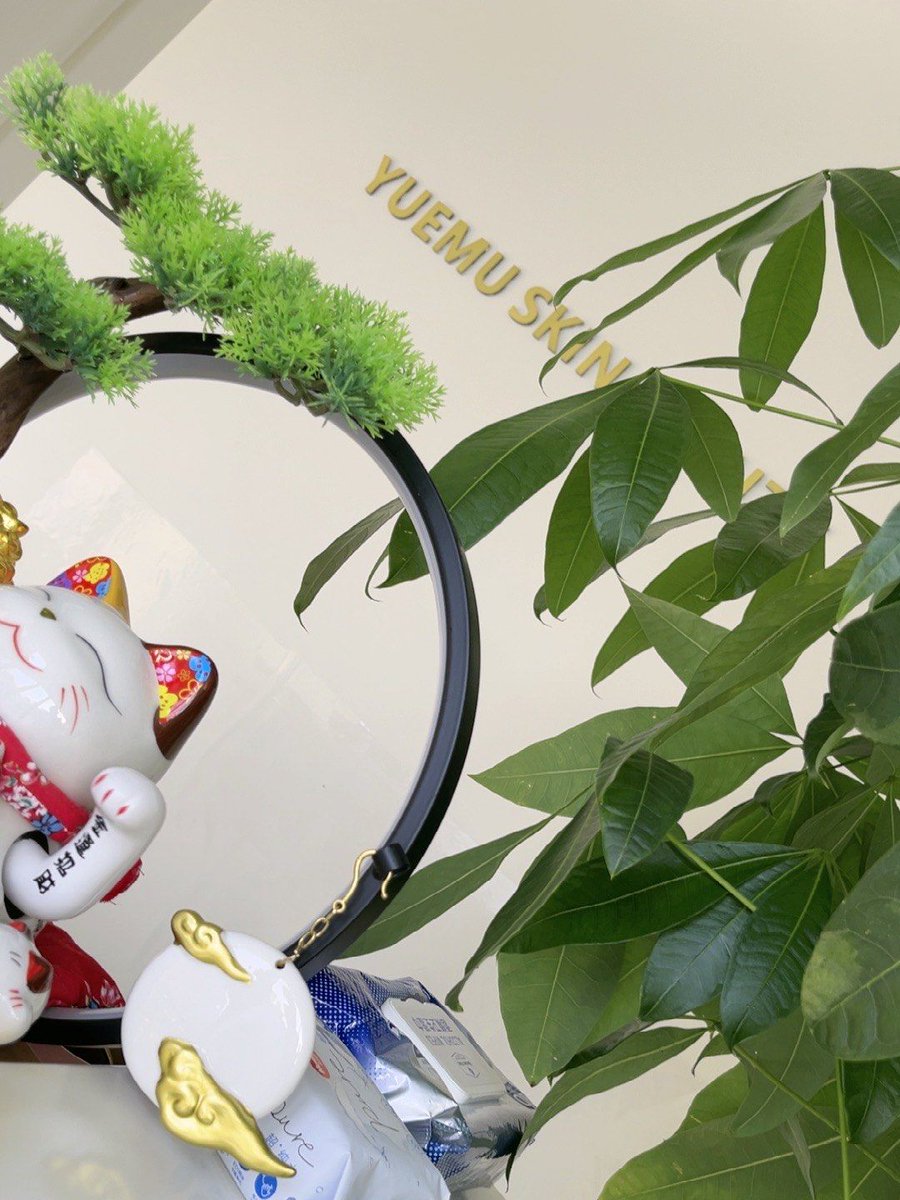 djoussouf tweet media