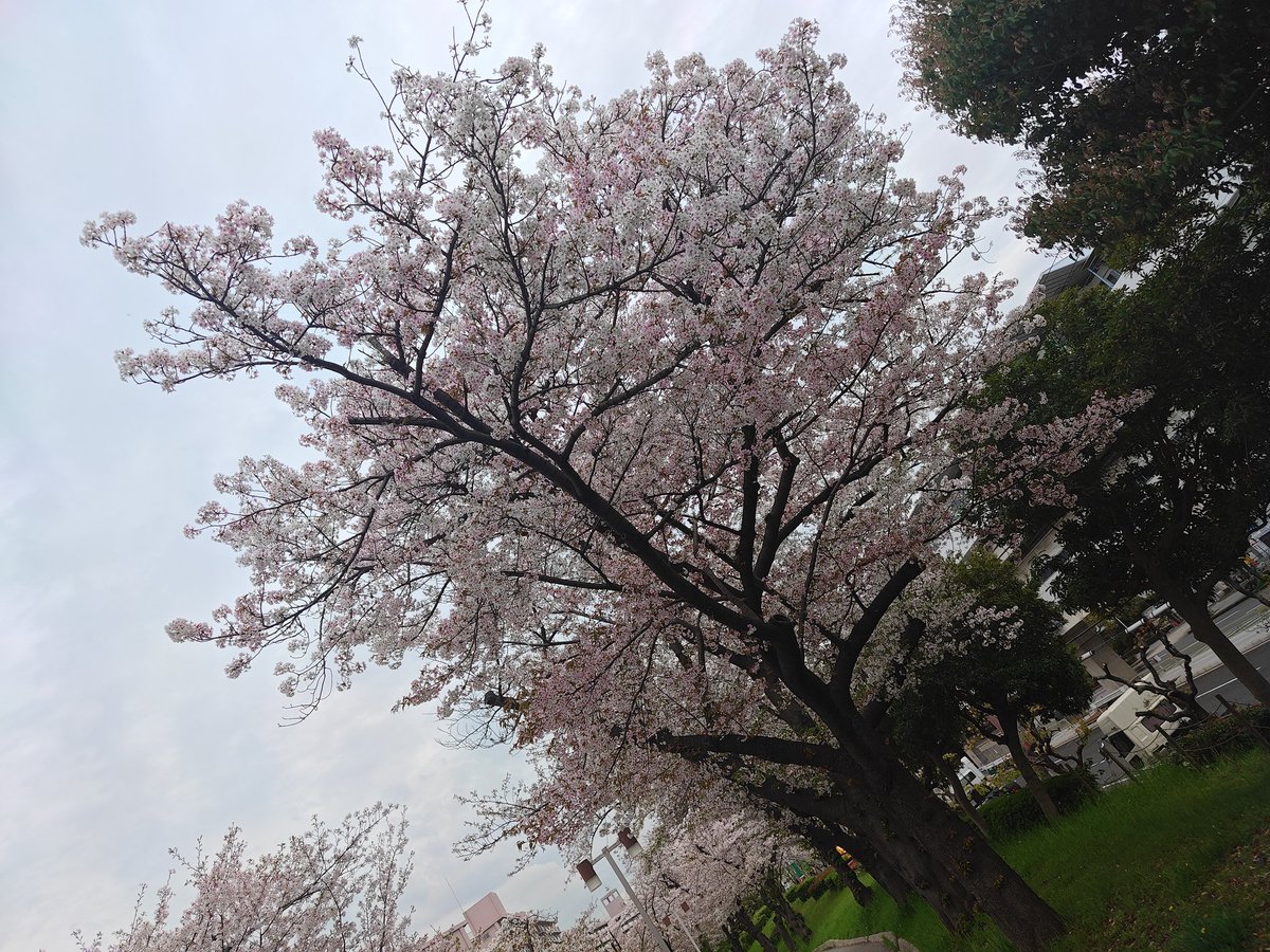 椎田@🇯🇵 tweet media