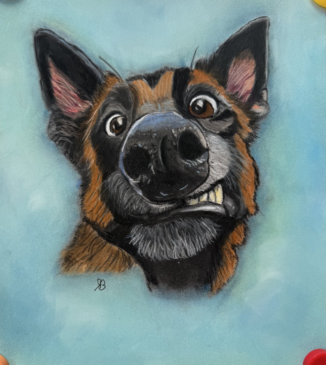 die Terrorgruppe tweet media