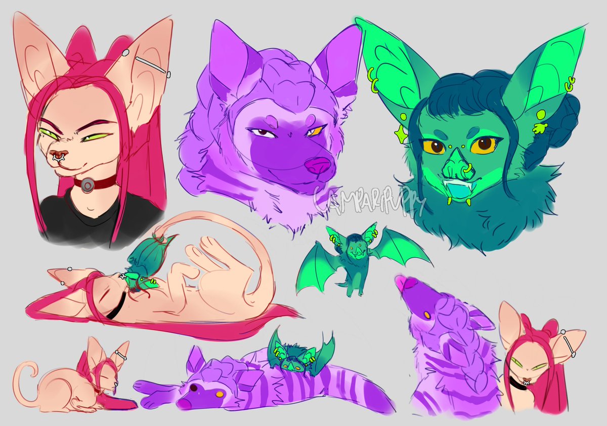 🐾Campari!🦴 tweet media