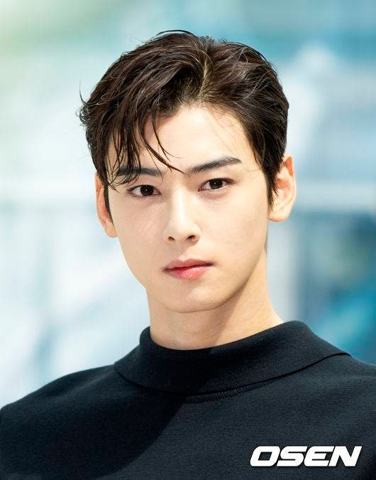 OSEN on their article, explained why #ChaEunWoo paid the 13 billion won now, not sooner, answering netizens' criticism on why he dragged the time to pay. It is because he has to wait for the tax bill to be issued. The tax system made it impossible to pay taxes in advance, even if