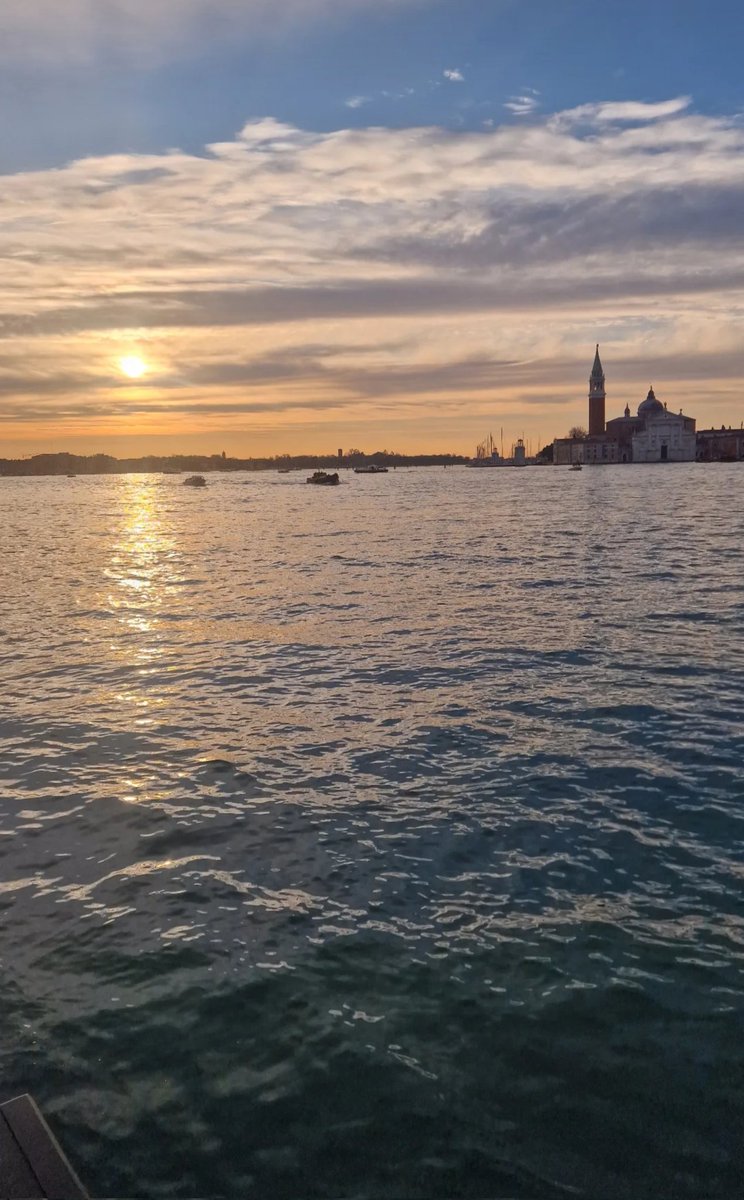 Monica 🍀⚘️🌍📚🐞🎧 tweet media