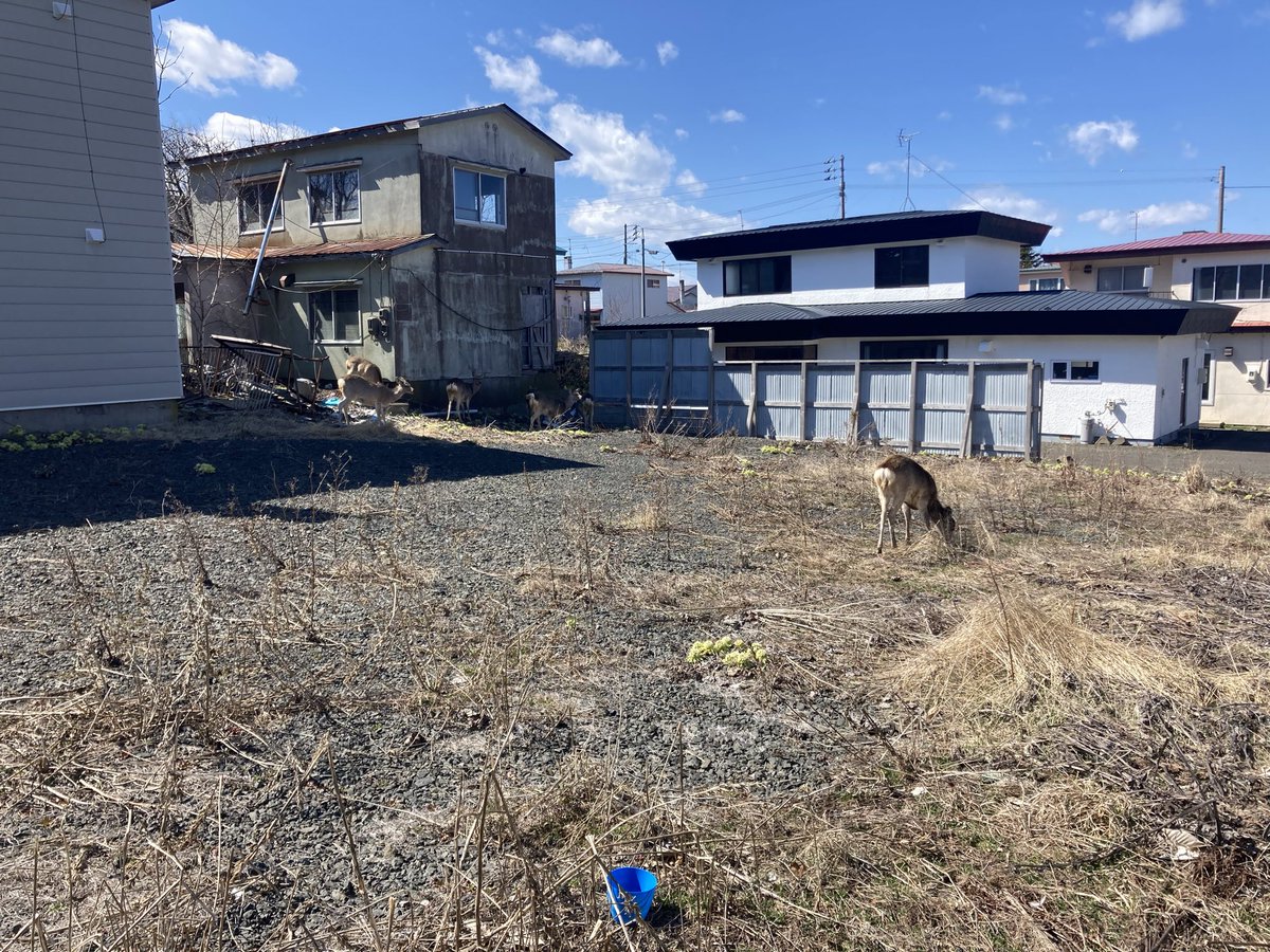 鎌倉殿の13人 tweet media