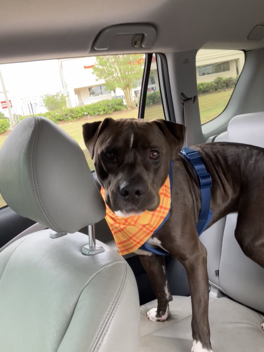 Ryan Prong tweet media