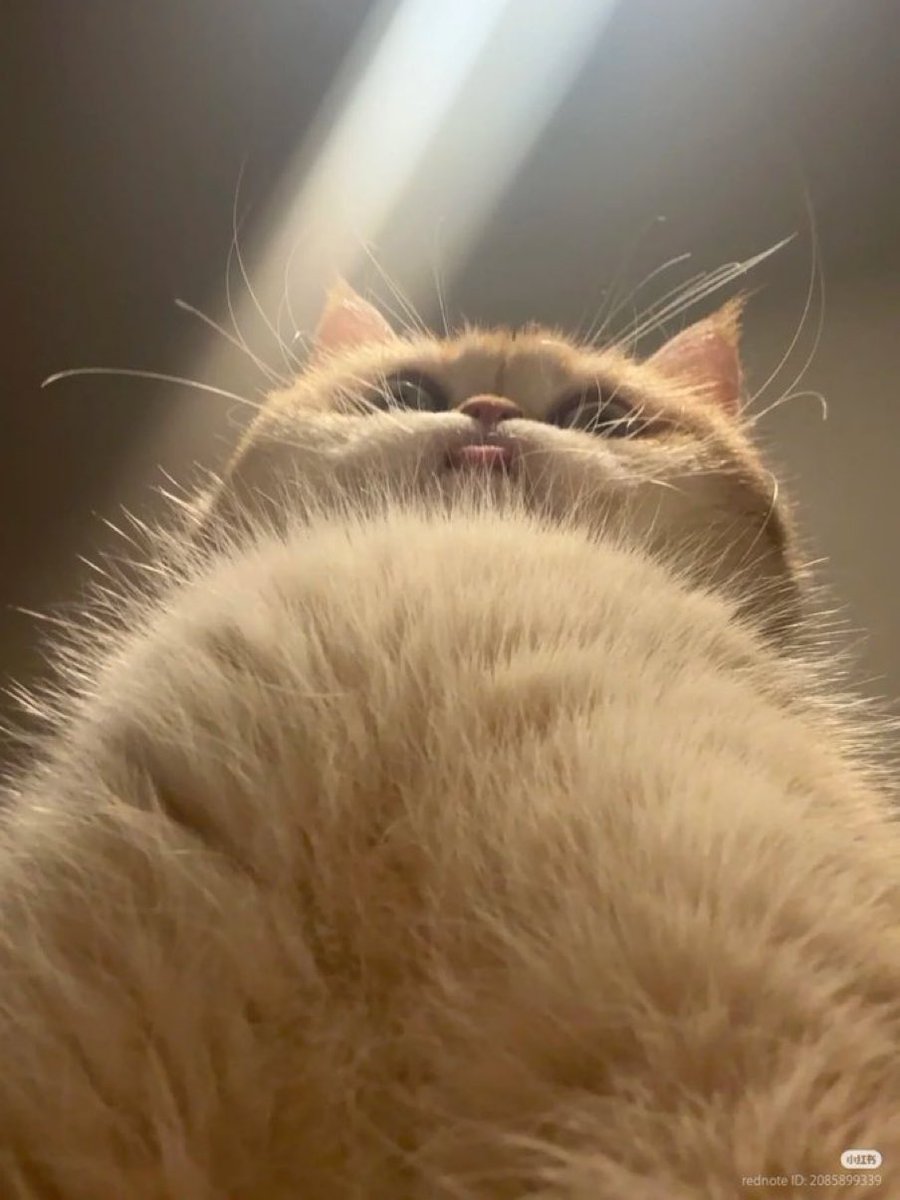 tenggorokan masih ngaco jd aq istirahat yapping dluw ☝️😔

tl;dr
no strim