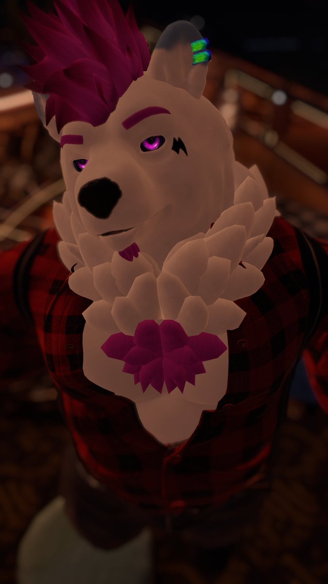 The lazy bear tweet media