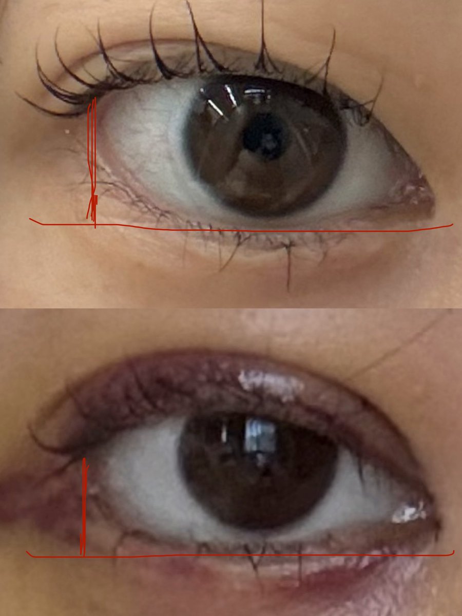 まり🌷目フルDT中 tweet media