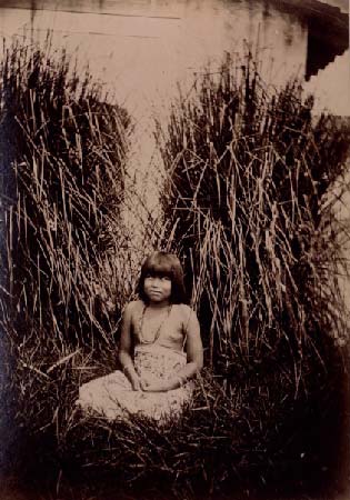 Artemental🌴18 tweet media