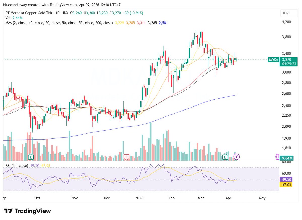 Blue Candle | Mr. Blue tweet media