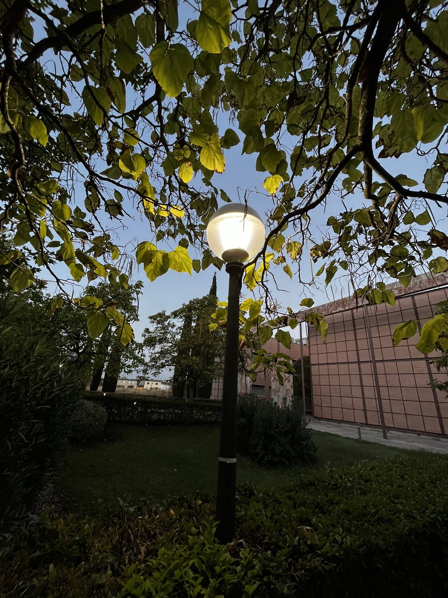 M.A.C.C. tweet media