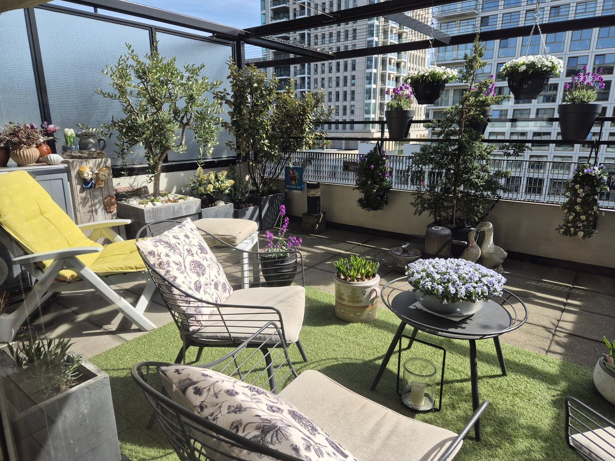 MarianVoesenek 🌟🌟🌟 tweet media