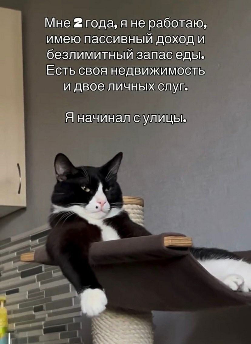 yaplakalcom's tweet photo. https://t.co/QENEVamog5
