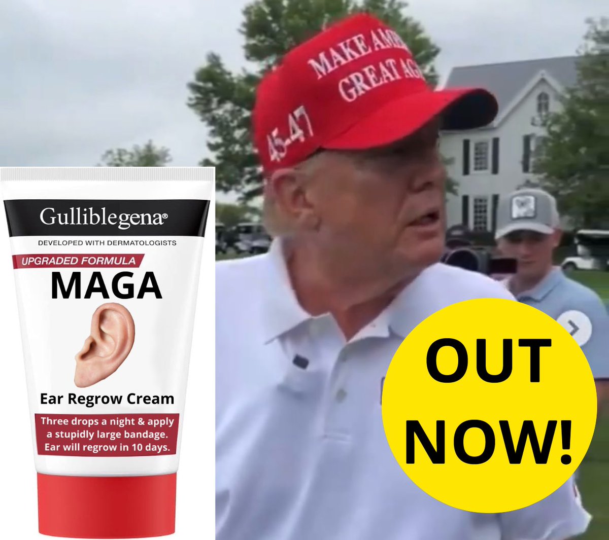 martin lees tweet media