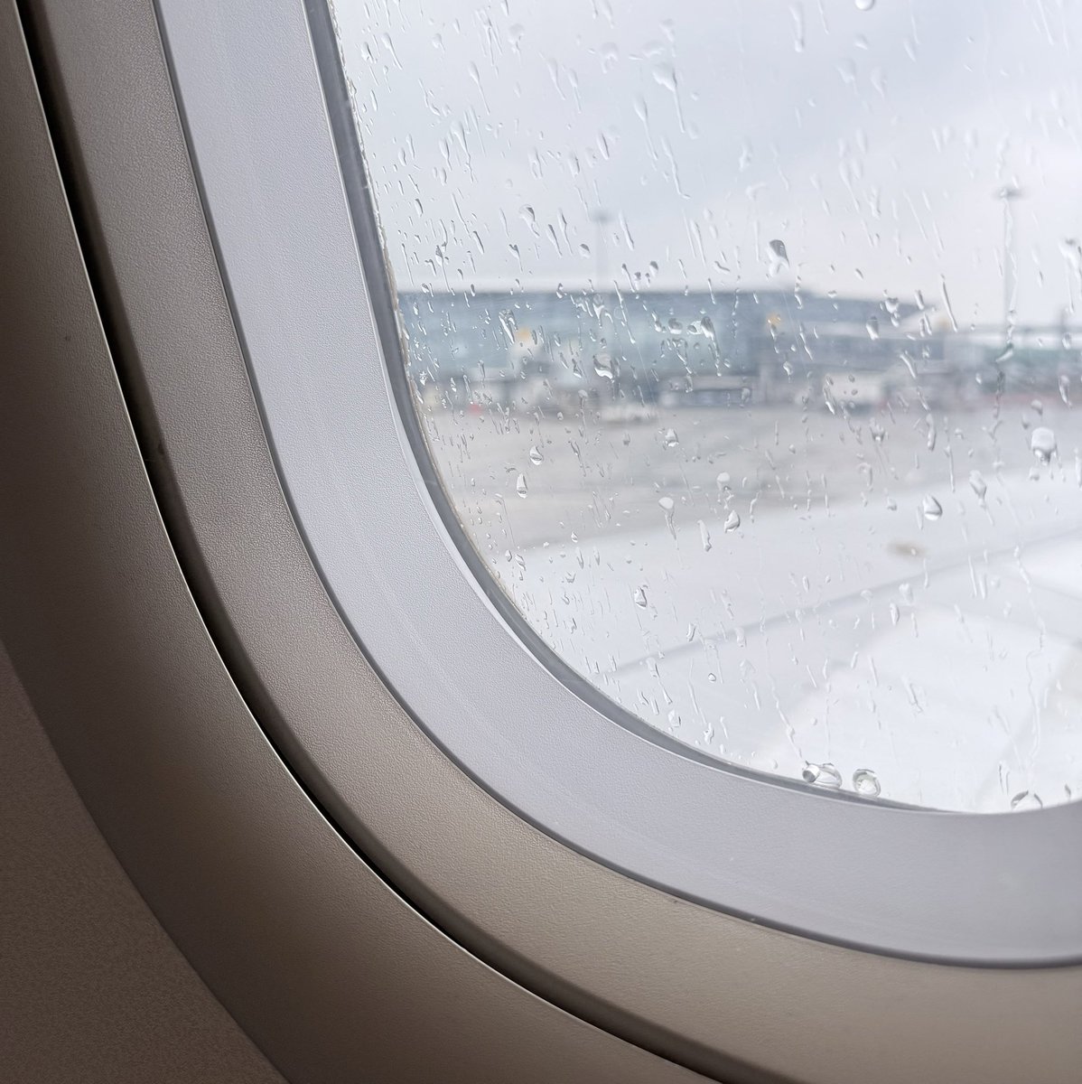 全网通缉的大美女 tweet media