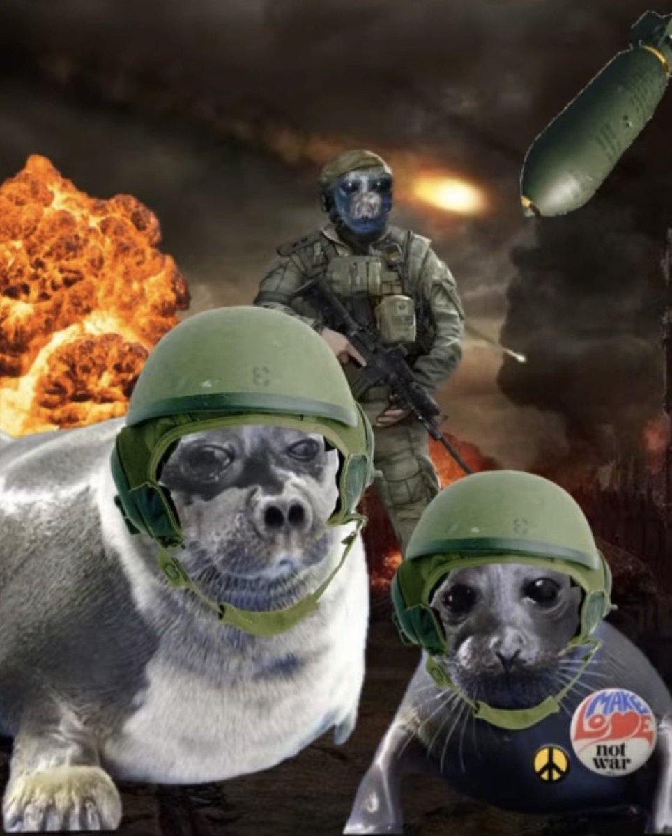 CANS⚡️🦭 tweet media