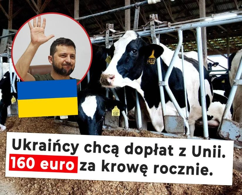 Paweł Usiądek tweet media