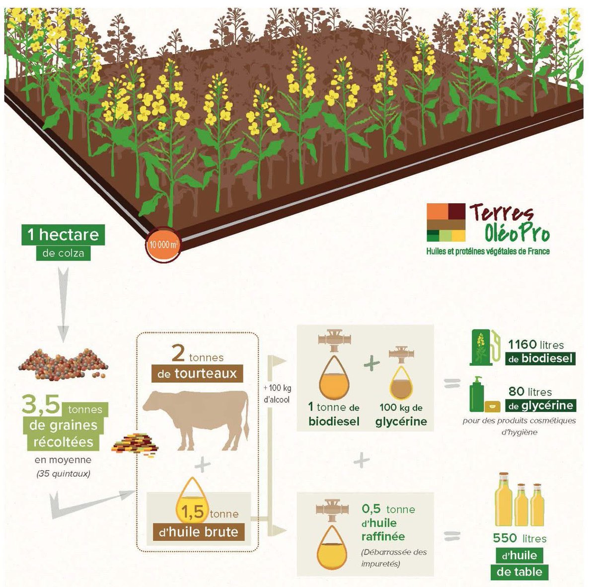 🇫🇷 Patrick Hautefeuille tweet media