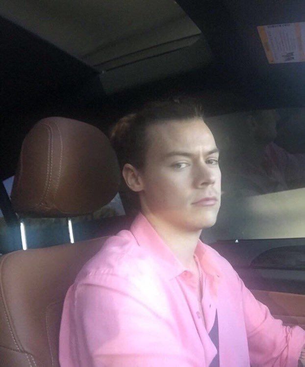 bottom harry tweet media