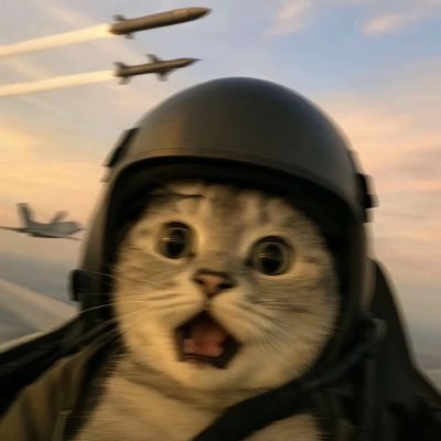 CryptoCat|猫姐🐈 tweet media