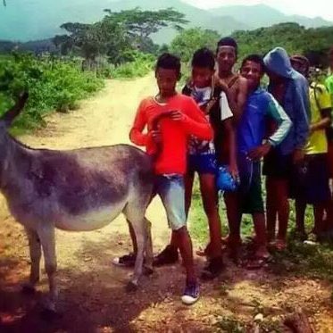 Wow, Look At You tweet media