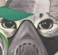 Heavenly tweet media