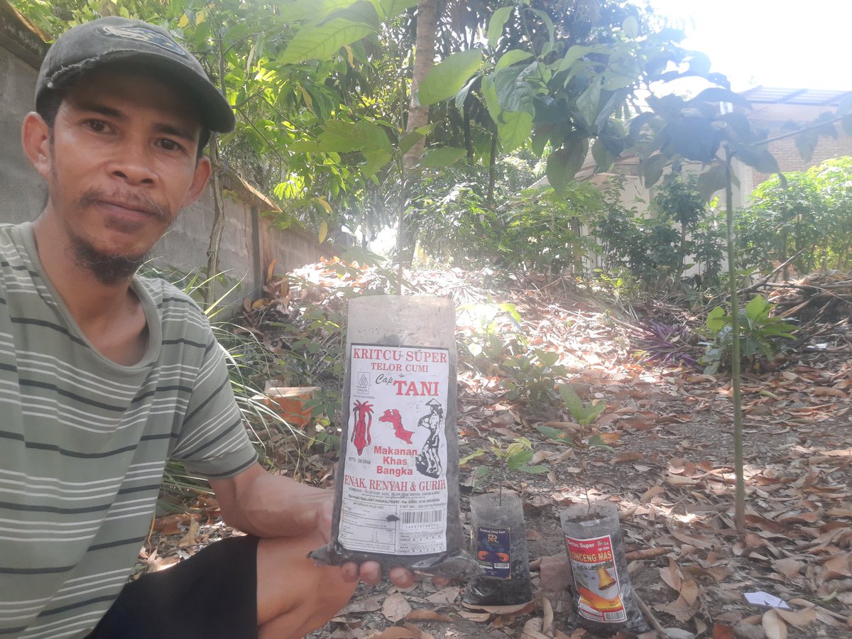 lockeralfonso's tweet photo. Rambutan.. bayak yang tumbuh di bawah pohonya.. aku pindah ke polybag beberapa aja ini.. nanti kalau sudah sedikit besar akan saya diokulasi, kemudian saya tanam di kebun yang lain.. di lahan yang lebih luas. 🌱🍒🌳
#berkebun #pertanian #rambutan https://t.co/ue46HSlMst