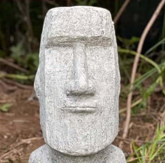 Ya boy the yellowed King tweet media