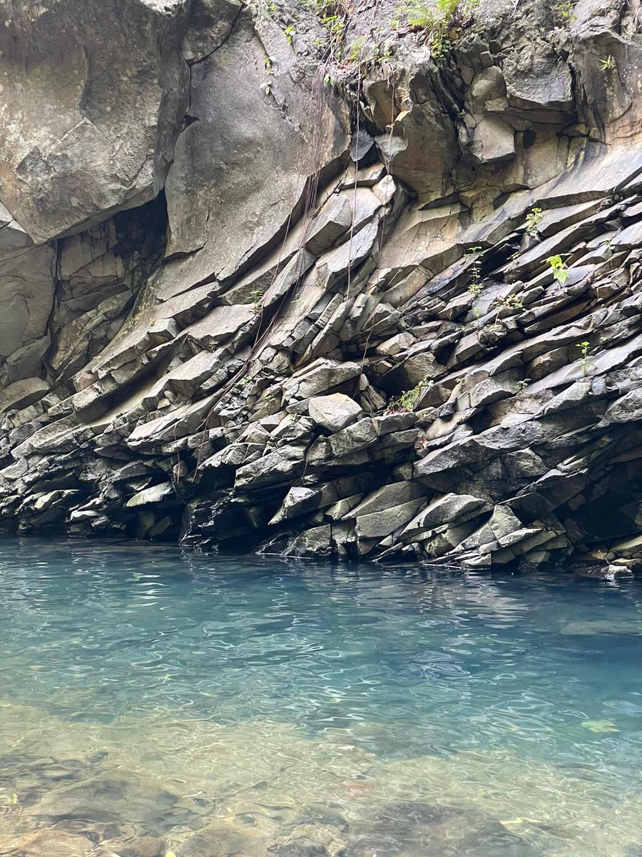 rl ettieke fan account tweet media