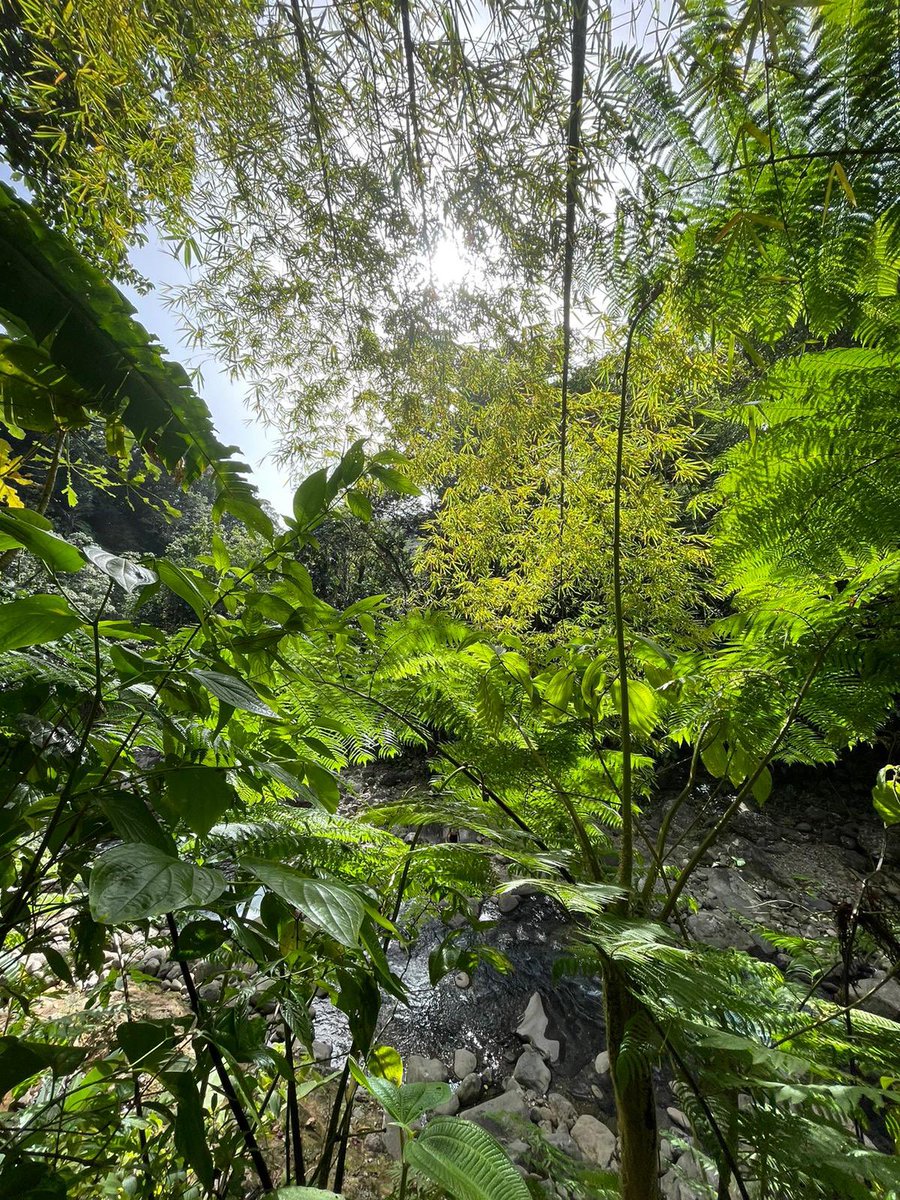 rl ettieke fan account tweet media