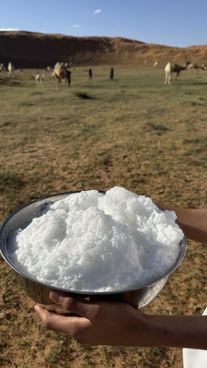 Fale7🥈 tweet media