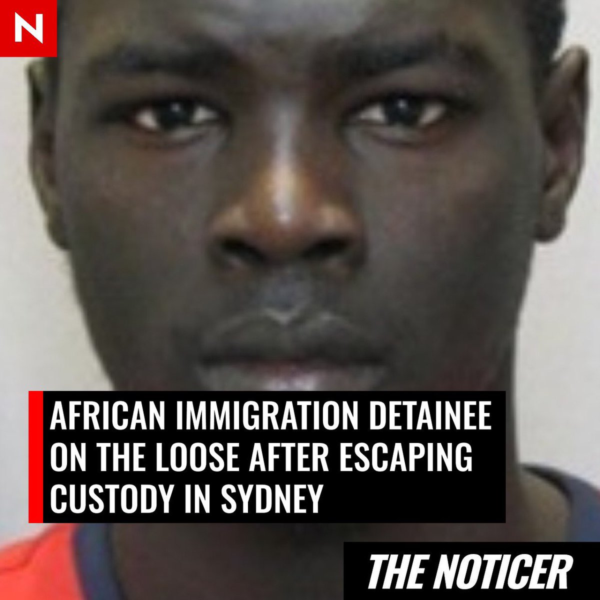 Celina10101 tweet media