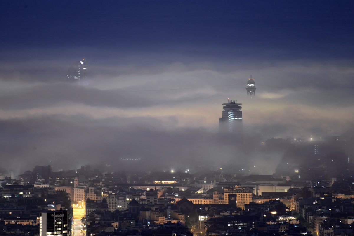 Alfons Puertas tweet media