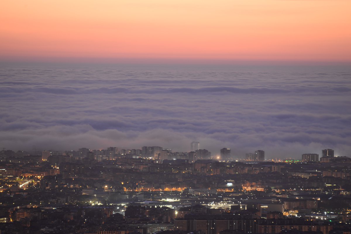 Alfons Puertas tweet media