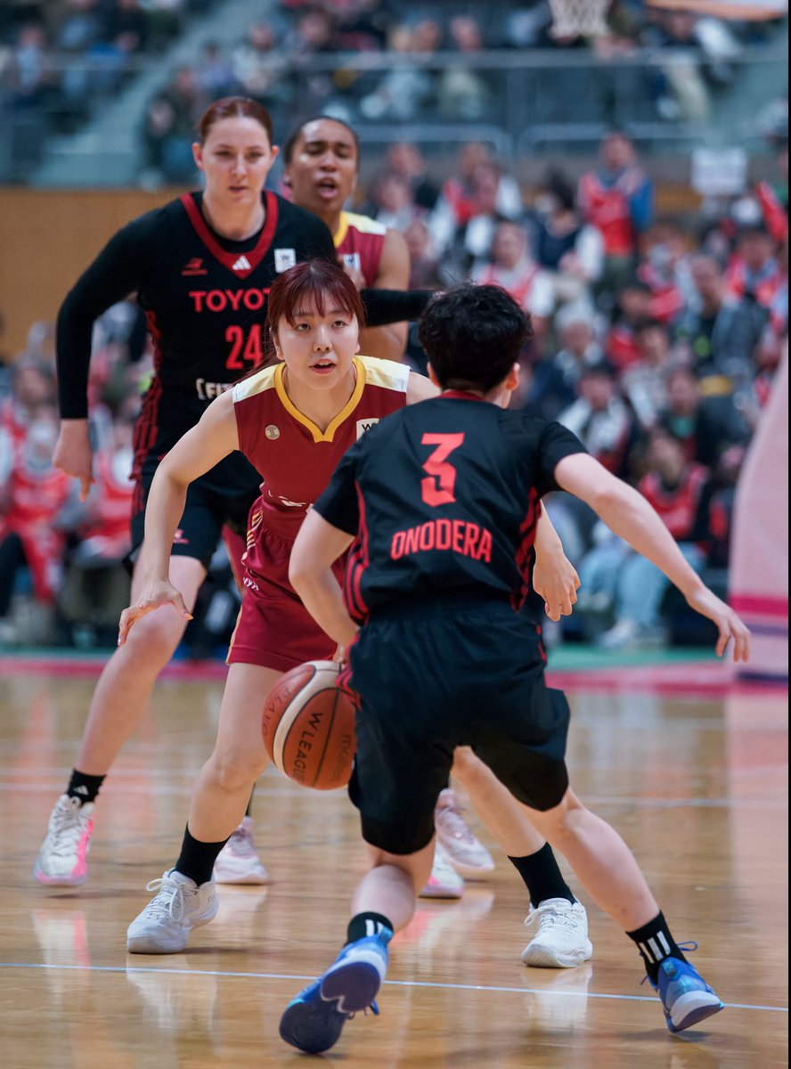 バスケのLEEさん tweet media