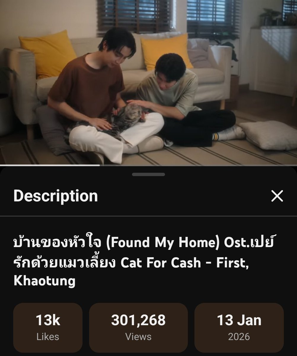 sunshine :) tweet media