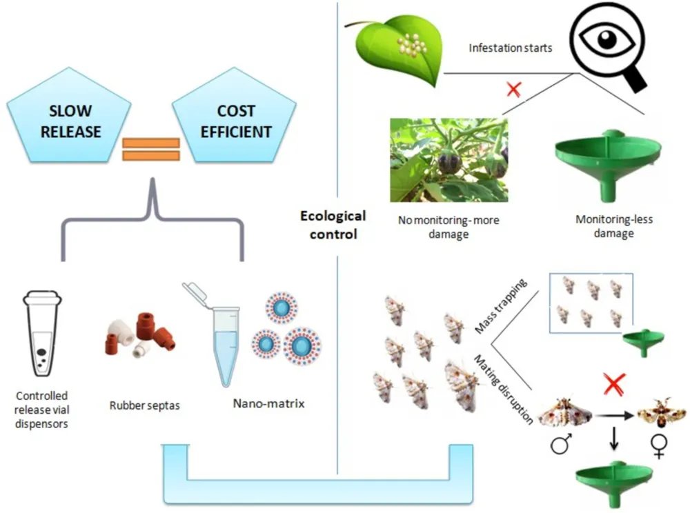 Ento_EA's tweet image. Exploiting Chemical Ecology: Innovative and Eco-Friendly Management Methods for Brinjal Shoot and Fruit Borer, Leucinodes orbonalis Guenee (Lepidoptera: Crambidae) in Brinjal 
#FreeAccess
onlinelibrary.wiley.com/doi/10.1111/ee…