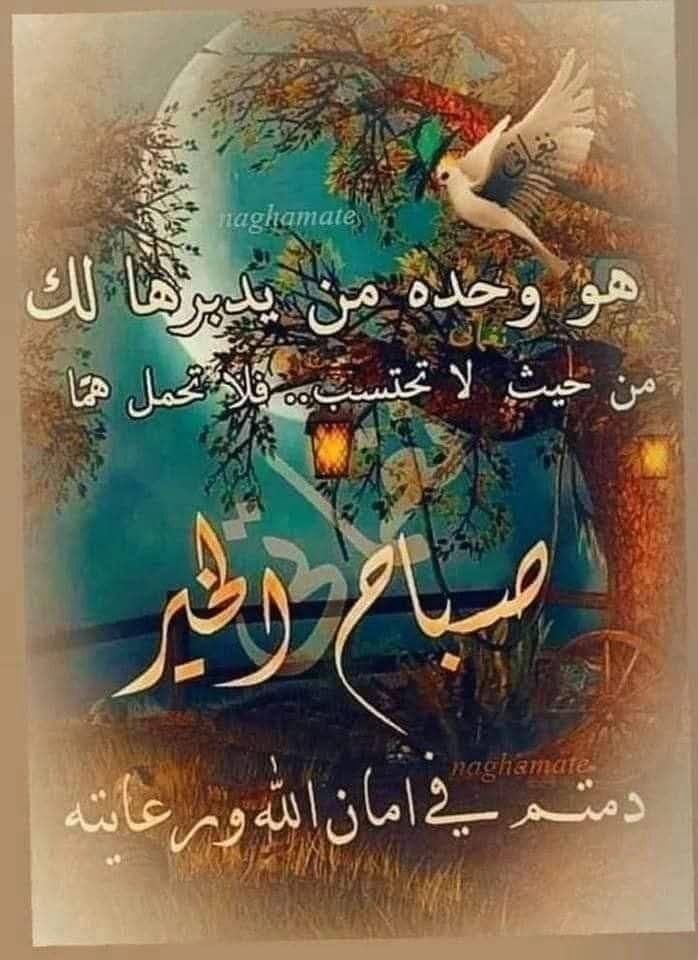 ABU MALEK tweet media