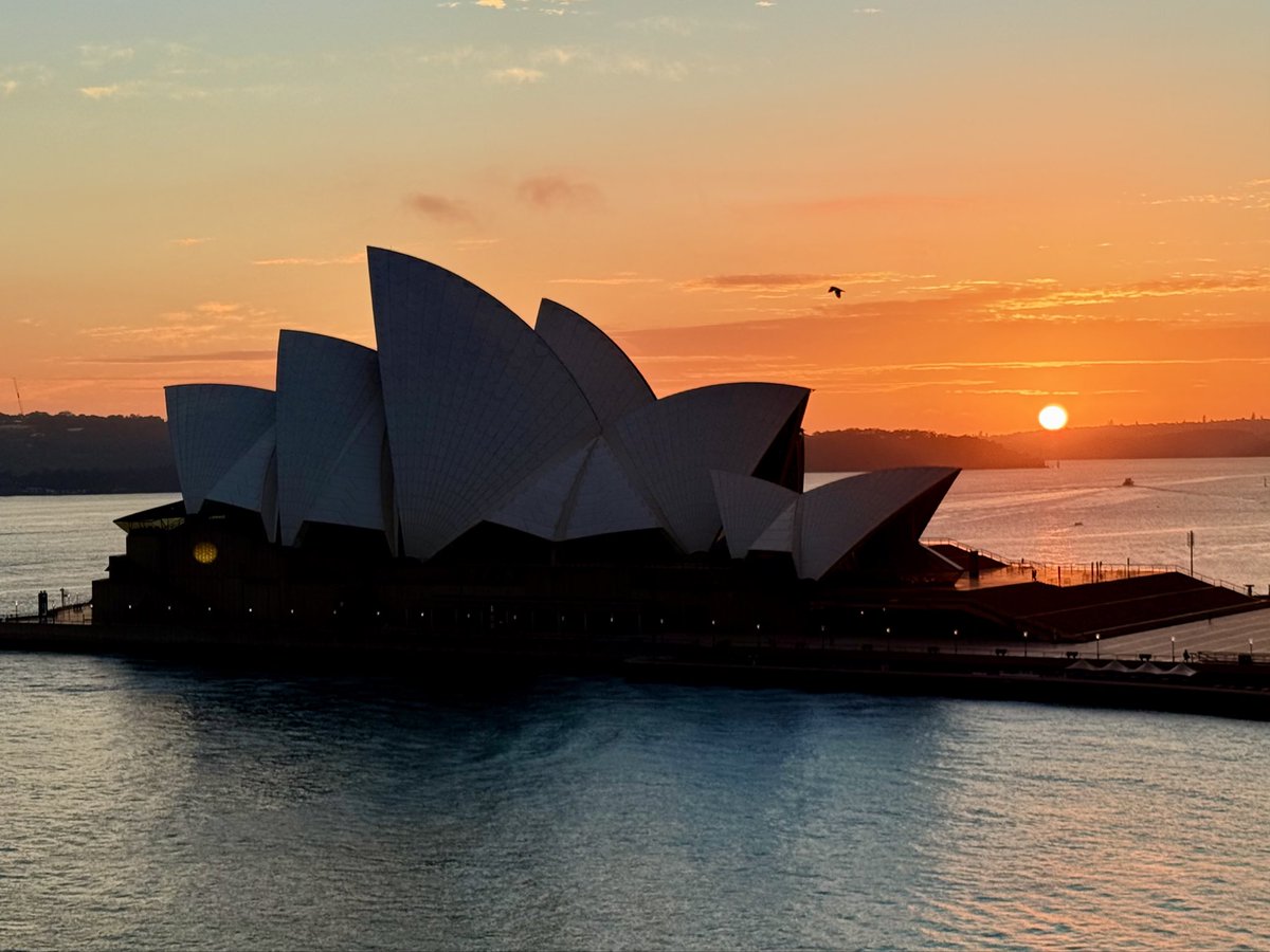 Steveontour1's tweet image. The #UsualSeagull soaring over the iconic #Sydney Opera House as the sun rises, on this great morning. @ThePhotoHour @StormHour