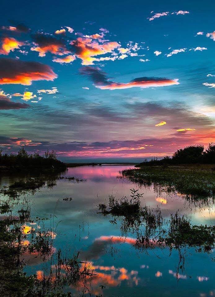 Clayton Bishop tweet media