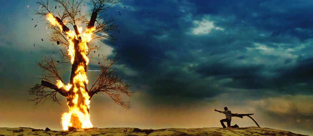 Black Pearl ☠️ tweet media