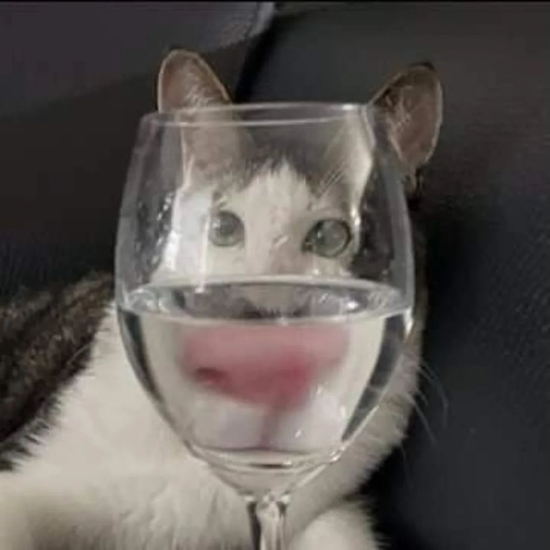 멩⸍꙳ tweet media